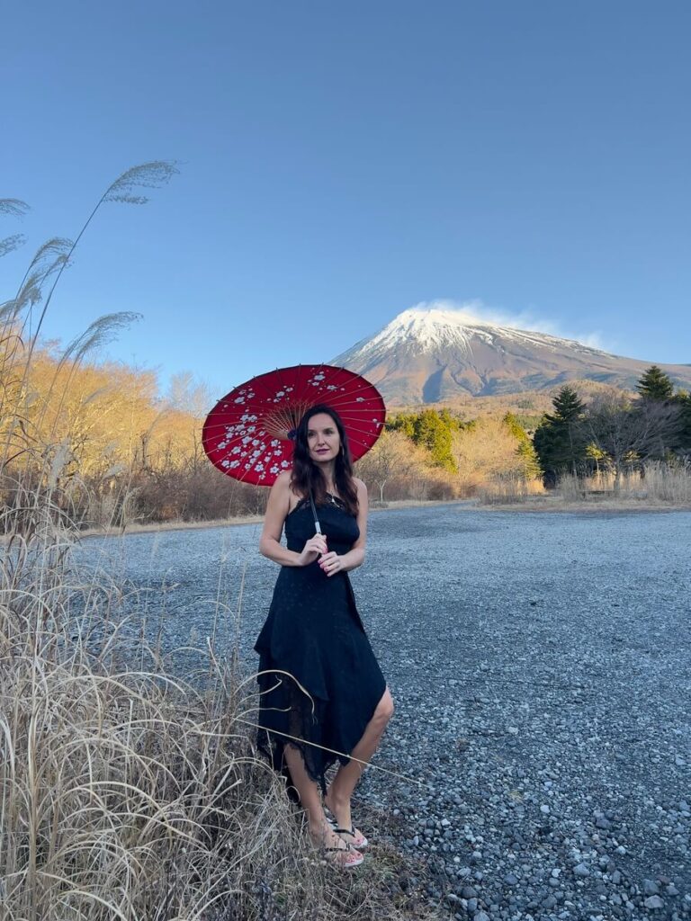 Mount Fuji Viewpoint